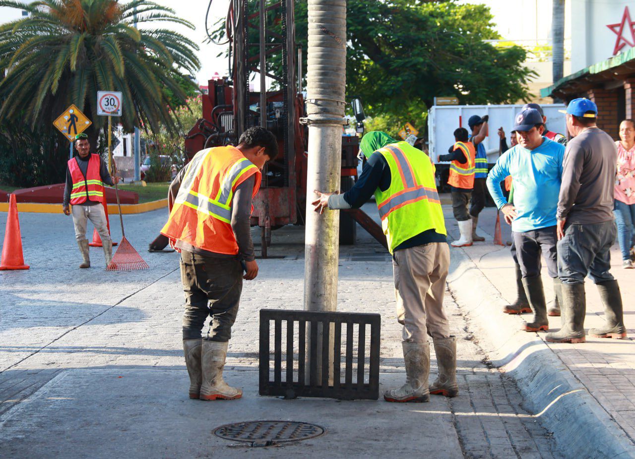 uploads/6/32/01 (500).Jpg